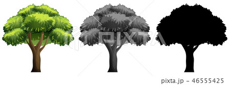 Set of isolated tree 46555425