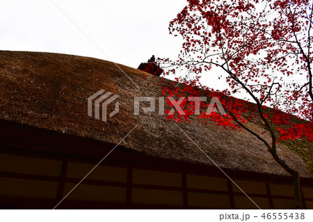 常楽寺　秋の風景　上田市 46555438