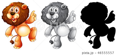 Set of lion character 46555557