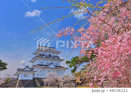 【神奈川県】晴天下の小田原城天守閣 46556121