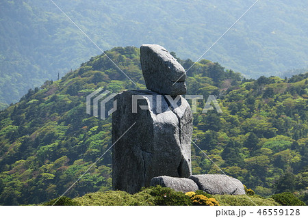 屋久島宮之浦岳山頂への道　花崗岩塔ロボット石 46559128