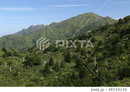 屋久島宮之浦岳山頂への道 宮之浦岳と永田岳を望む 屋久島宮之浦岳山頂への道 宮之浦岳と永田岳を望む 46559130