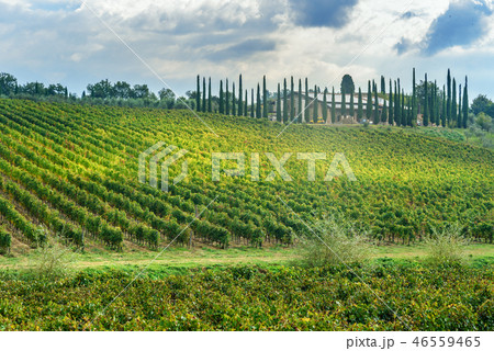 Landscape in Chianti region in province of Siena. Landscape in Chianti region in province of Siena. 46559465