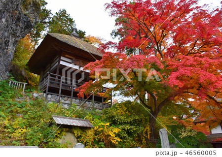 長楽寺観音堂 紅葉 千曲市 長楽寺観音堂 紅葉 千曲市 46560005