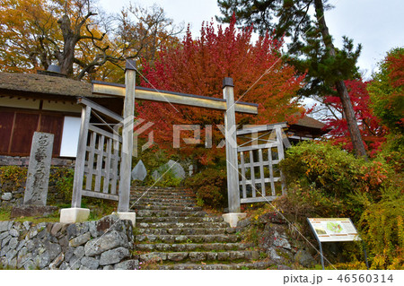 長楽寺　山門　紅葉　千曲市 46560314