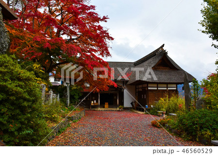 長楽寺本堂　紅葉　千曲市 46560529