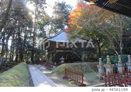 伊達家　善応殿 46561199