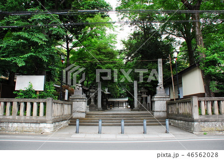 調(つき)神社境内出入口(さいたま市浦和区) 46562028