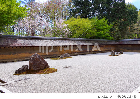 龍安寺の石庭（春） 46562349