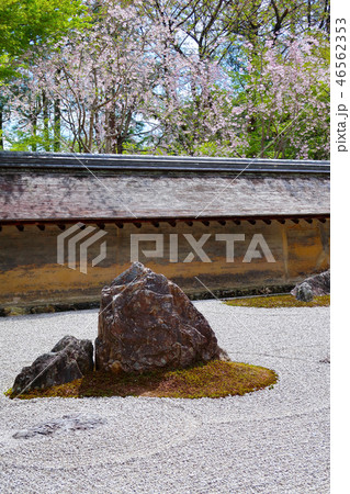 龍安寺の石庭（春） 46562353