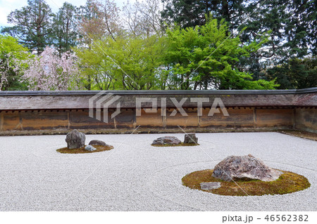 龍安寺の石庭（春） 46562382
