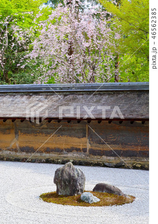 龍安寺の石庭（春） 46562385