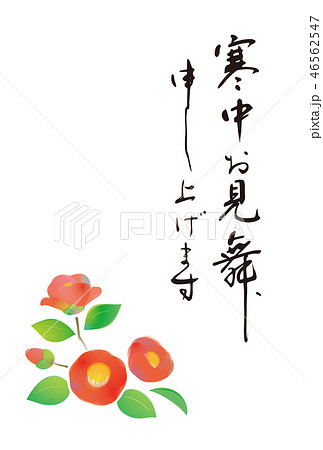 寒中お見舞い　つばき 46562547