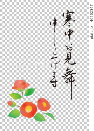 寒中お見舞い　つばき 46562547