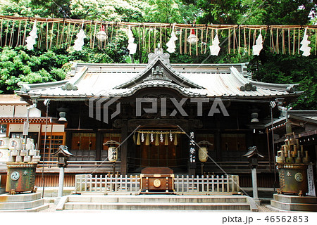 調(つき)神社 拝殿(さいたま市浦和区) 調(つき)神社 拝殿(さいたま市浦和区) 46562853