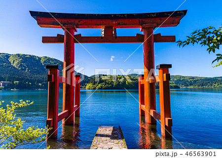 神奈川県 箱根神社 平和の鳥居の写真素材