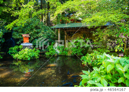 (神奈川県)箱根神社 弁財天社 (神奈川県)箱根神社 弁財天社 46564167
