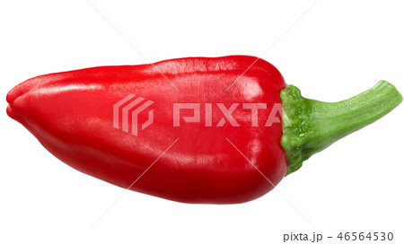 Gorria red chili pepper, paths Gorria red chili pepper, paths 46564530