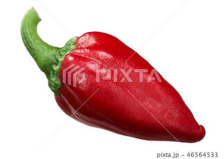 Gorria red chili pepper, paths Gorria red chili pepper, paths 46564533