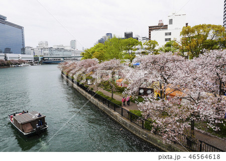 大阪 大阪 46564618