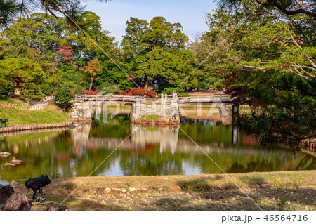 龍臥橋 玄宮園の紅葉 46564716