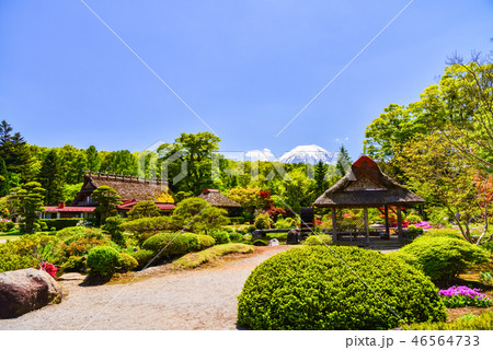 （山梨県）鱒の家の庭園から望む富士山 46564733