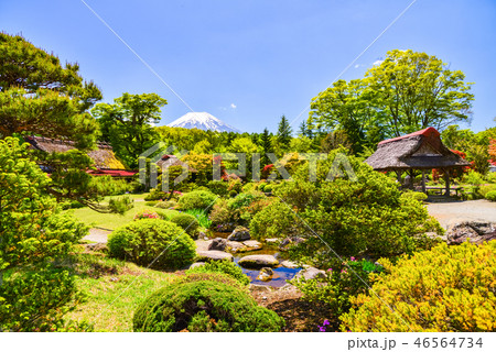 （山梨県）鱒の家の庭園から望む富士山 46564734