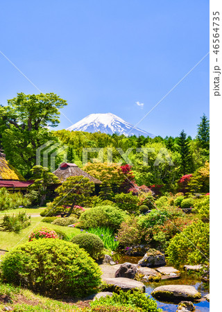 （山梨県）鱒の家の庭園から望む富士山 46564735