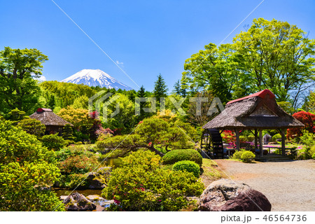 （山梨県）鱒の家の庭園から望む富士山 46564736