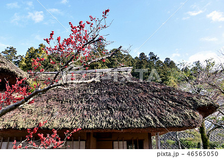 会津武家屋敷 46565050