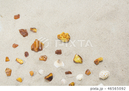 pieces of amber and shells on a sandy beach. 46565092