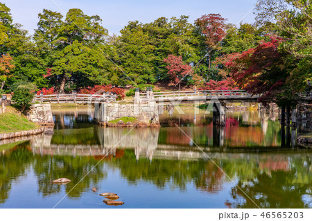 龍臥橋 玄宮園の紅葉 46565203
