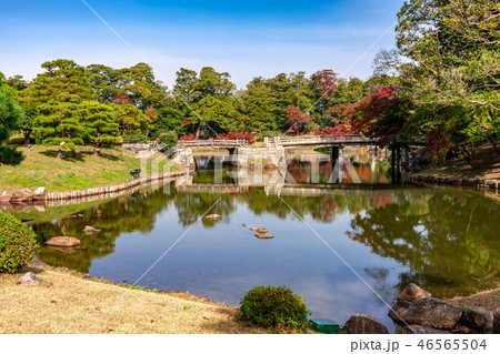 龍臥橋と高橋 玄宮園の紅葉 46565504