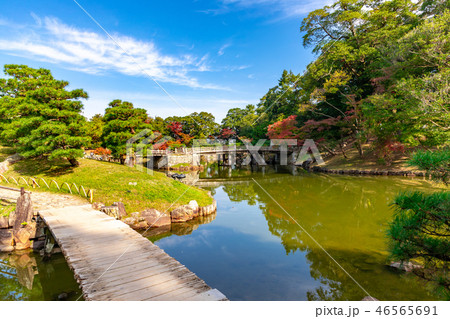 琴橋 名勝楽々園の紅葉 琴橋 名勝楽々園の紅葉 46565691