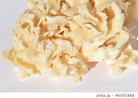 きのこ(花びら茸) きのこ(花びら茸) 46565888