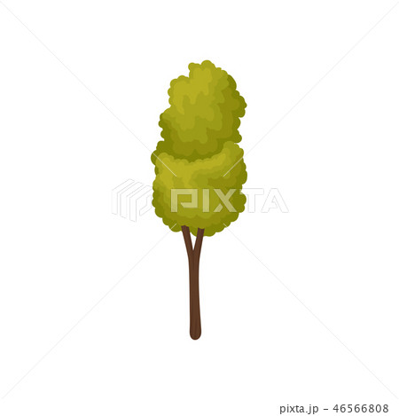 Flat vector icon of small young tree with thin trunk and bright green leaves. Element of autumn or 46566808