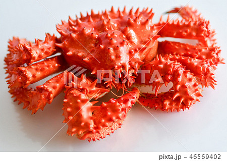 花咲蟹 46569402