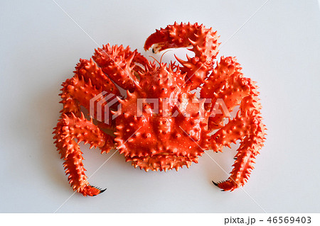 花咲蟹 46569403
