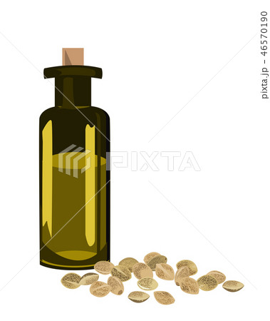 Hemp seeds, and oil in a glass jar isolated on a white background. Vector illustration 46570190