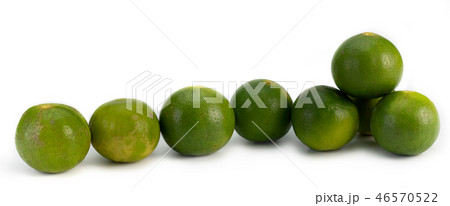 Fresh lime on white background. Fresh lime on white background. 46570522