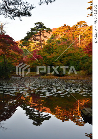紅葉の弥彦もみじ谷(新潟県) 紅葉の弥彦もみじ谷(新潟県) 46571361