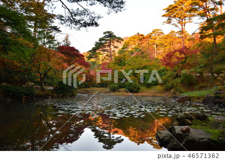 紅葉の弥彦もみじ谷(新潟県) 紅葉の弥彦もみじ谷(新潟県) 46571362