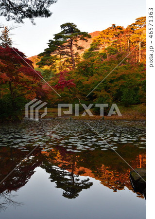 紅葉の弥彦もみじ谷（新潟県） 46571363