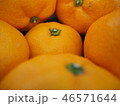 みかん 46571644