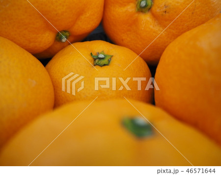 みかん 46571644