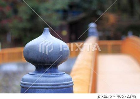 岩屋公園　冬景色 46572248