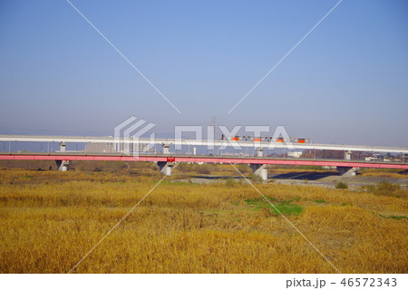 多摩川から望む多摩都市モノレール 46572343