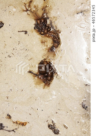 Oil and Sand, Oil Spill on Beach Oil and Sand, Oil Spill on Beach 46572345