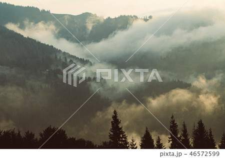 Foggy morning landscape 46572599