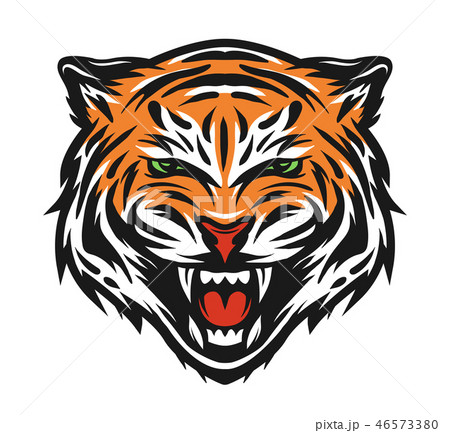 Aggressive tiger face. 46573380